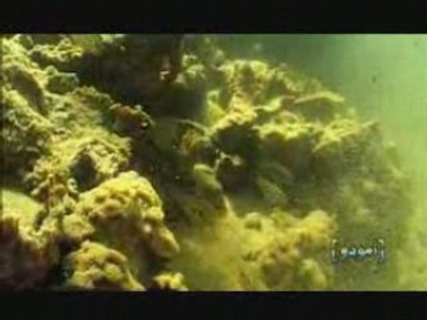 OUED DAHAB LAGOUIRA Maroc (المملكة المغربية)