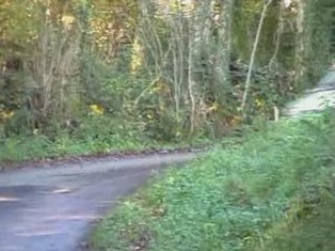 Rallye de la haute saone 2008 es1 cel