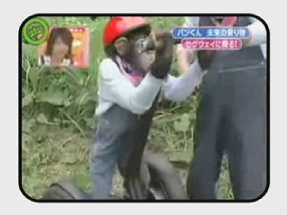 Soeur Emanuelle, Vandetta, Nike