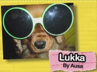 Ultra Kawaii - Your Cute Pets