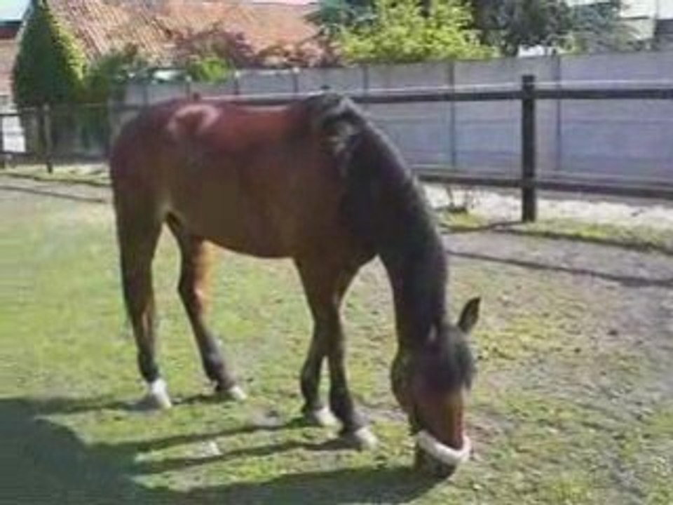 Smoussy montage Béthune