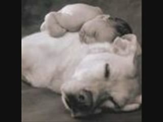 1000-et-un-molosse.skyblog.com