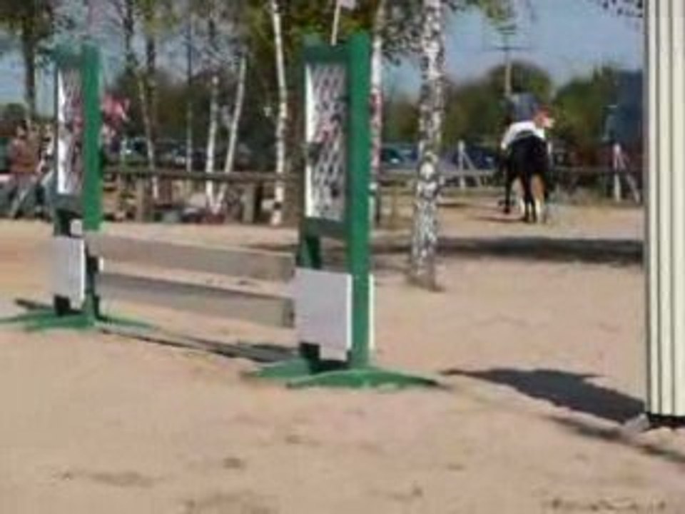 Poulain 157