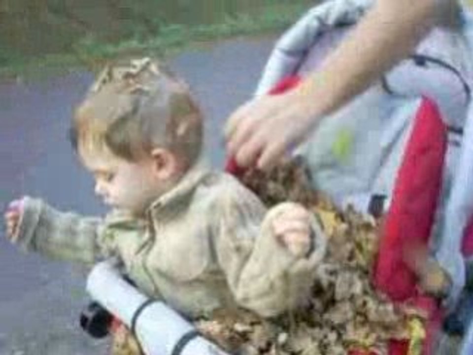 les joies de l'automne!!