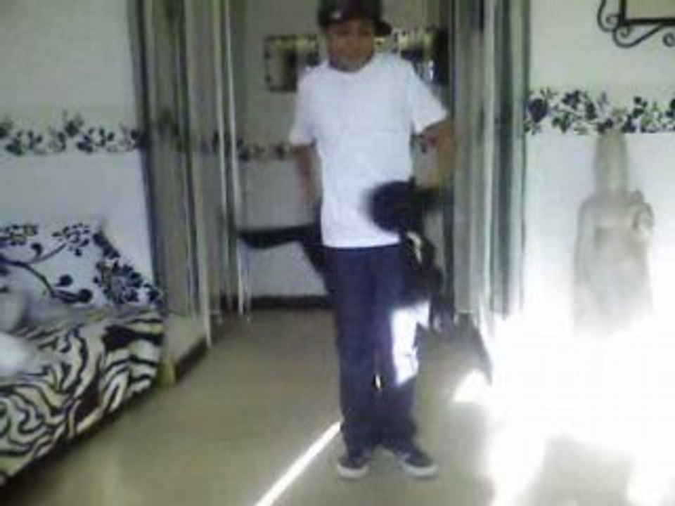 sean allias chris brown