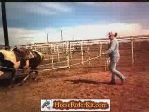 Horse Riding Lessons