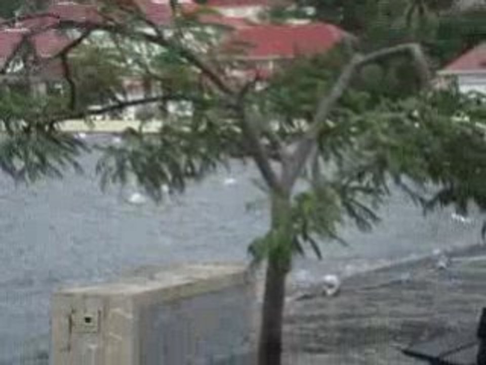 Sbh-gustavia-omar (7)
