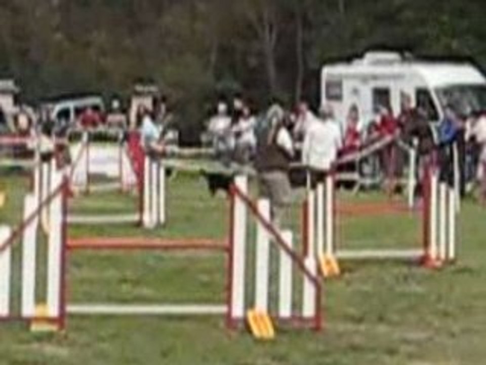 AUSSIE NOIR AGILITY LEVIGNAC 2008 JUGE MME BETBEDER 029(1)