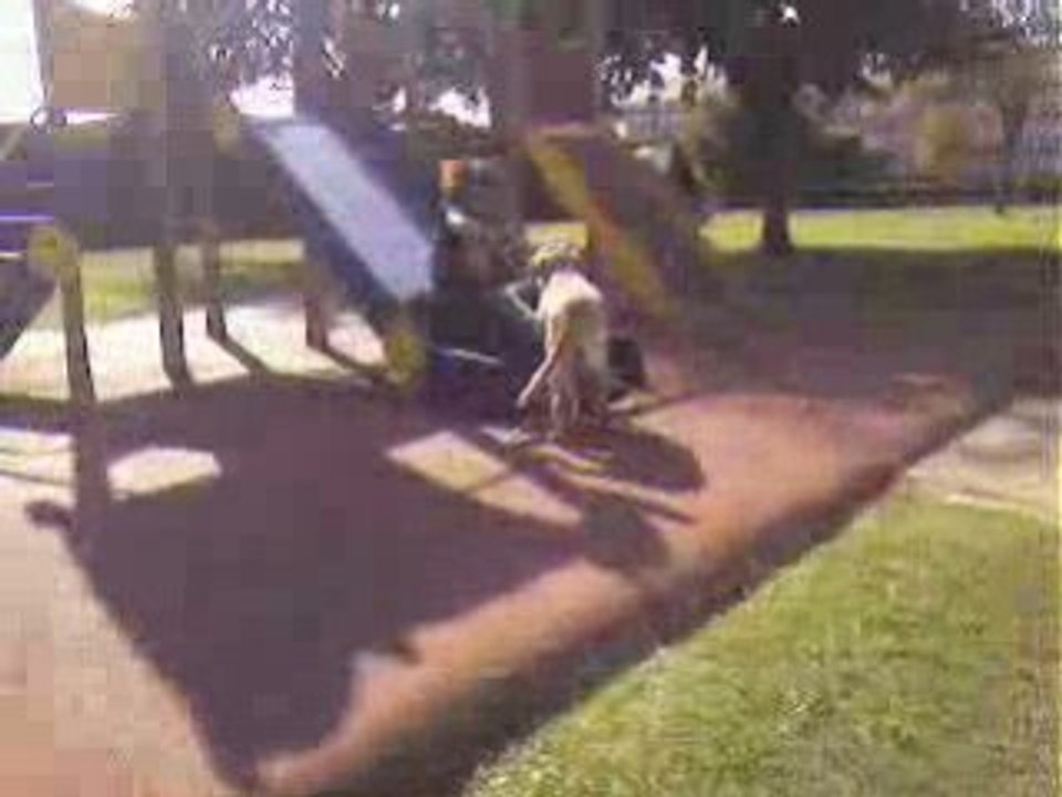 le chien violeur 5 !! =O