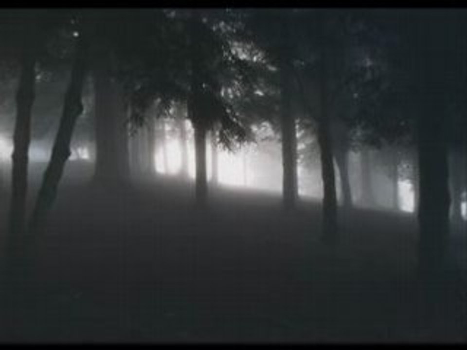 Dimmu Borgir - Reptile