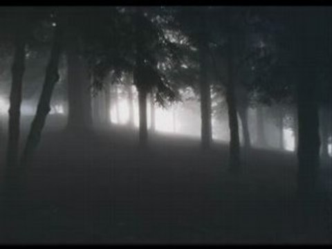 Dimmu Borgir - Reptile