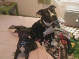 Conrad et Douska : Collaboration notable