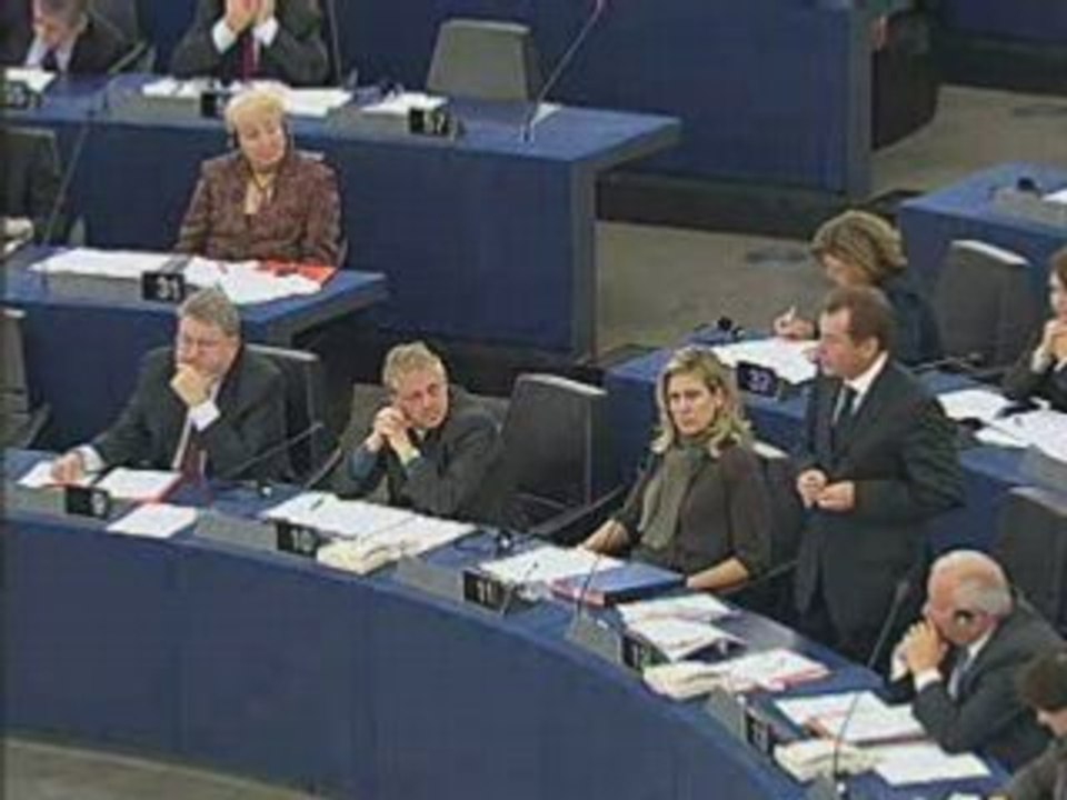 Graham Watson on European Council report