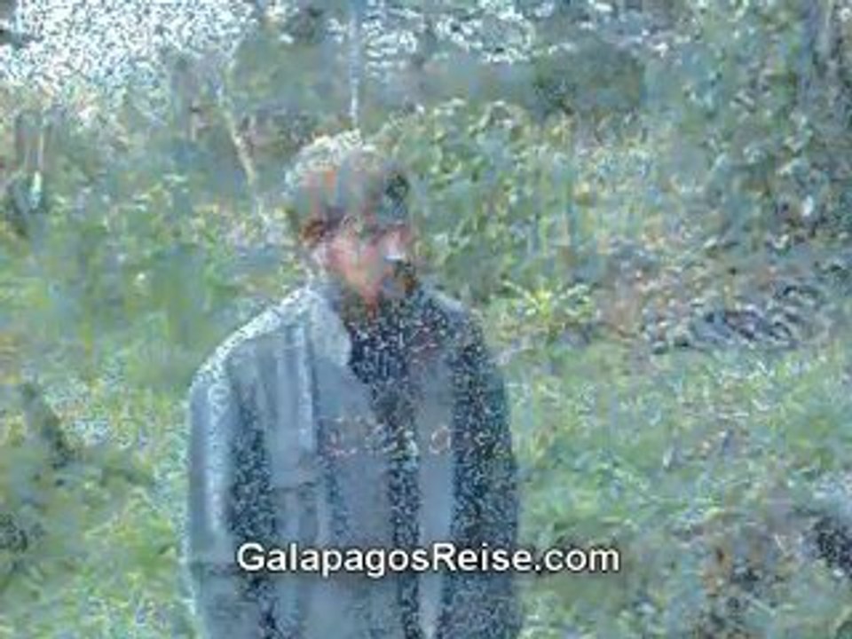 Ecuador travel video - donkey ride