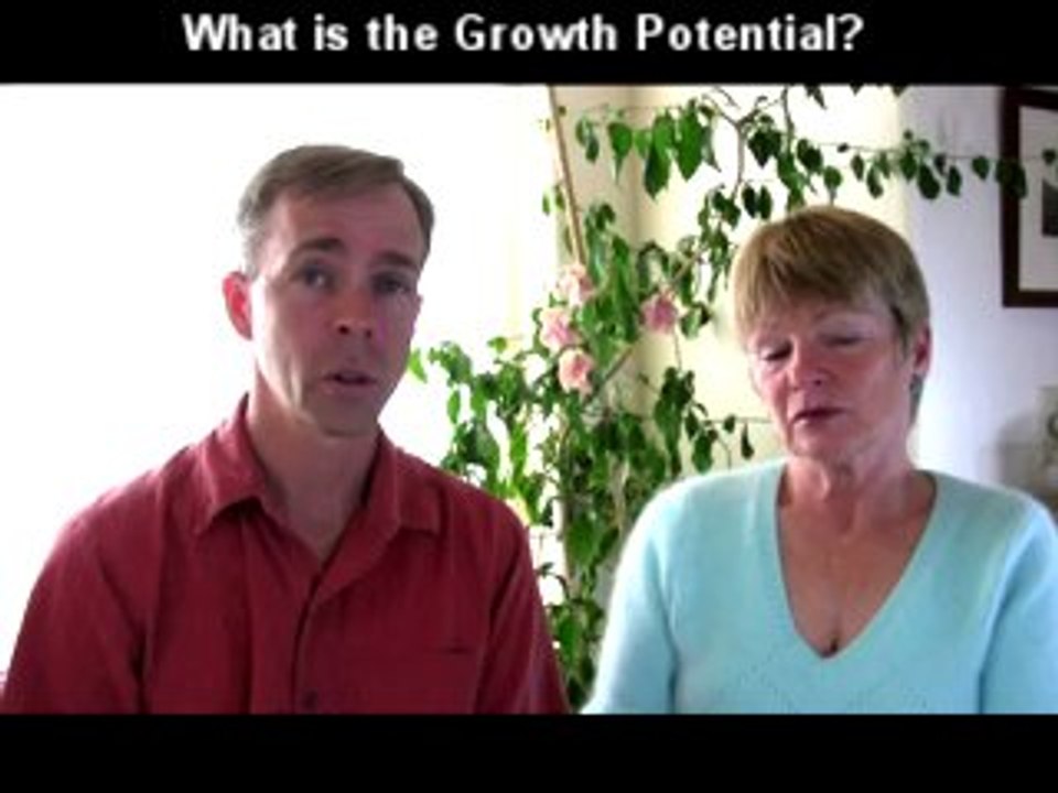 Home Based Network Marketing: Questions you need to ask