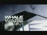 Whale Wars - Jolly Roger