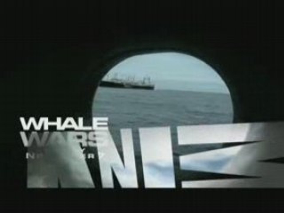 Whale Wars - Porthole