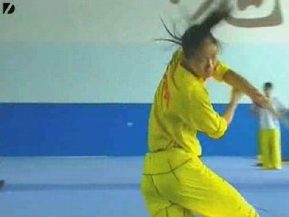 Awesome Kung Fu Display