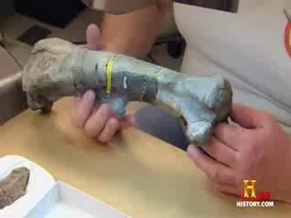 Jurrasic Fight Club 1x11 - Download any Episode & Season!