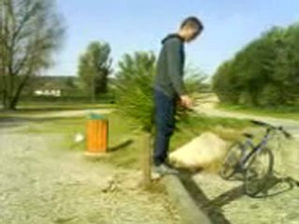 moi