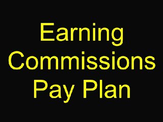 Accepting Credit Card Payments Online