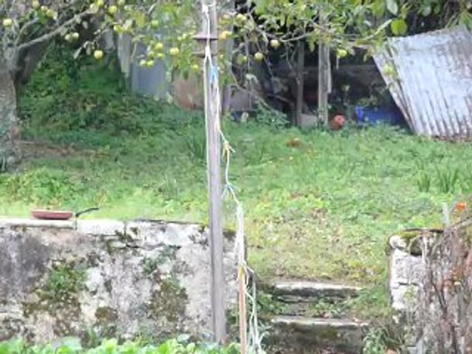 22 oct-écureuil 3 - 6 oc