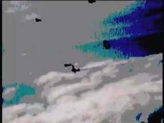 Down In The Trenches