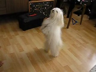 Betty  3 semaines après l'accouchement