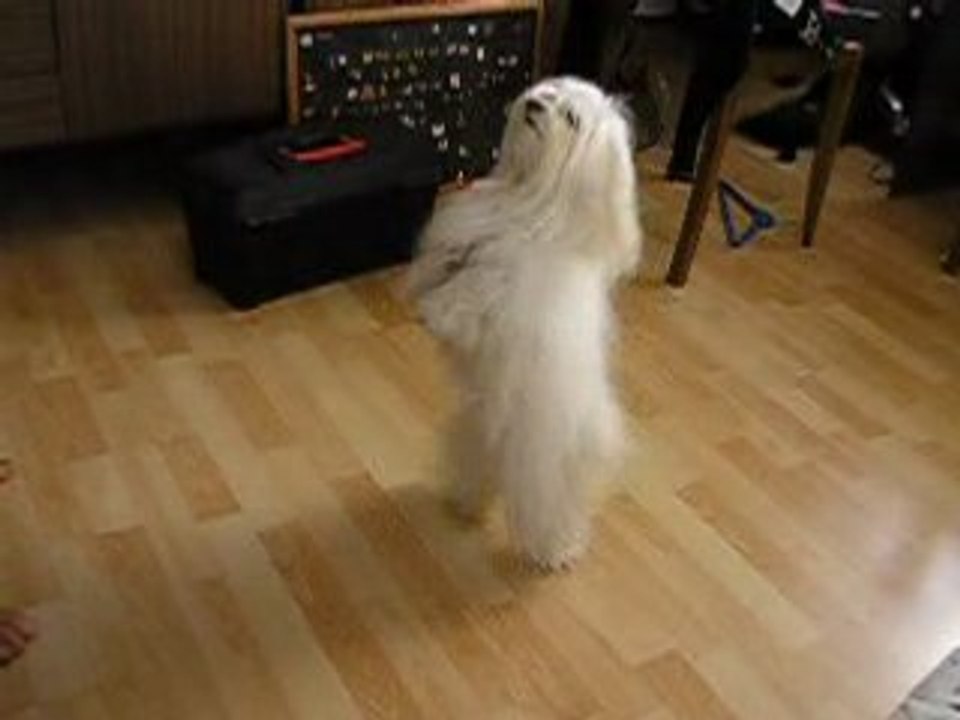 Betty  3 semaines après l'accouchement