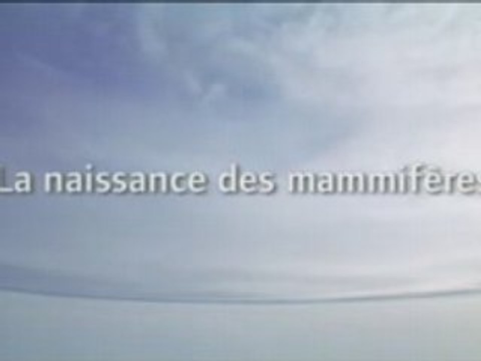 Planète Terre 4_6 - la naissance des Mammifères 1_3