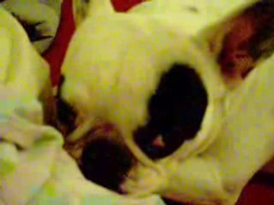 Photo 045