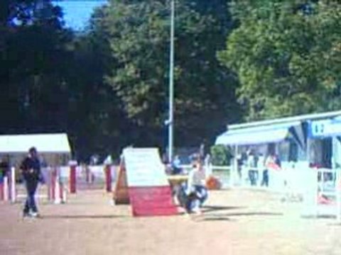 1er degré Adès et Elodie