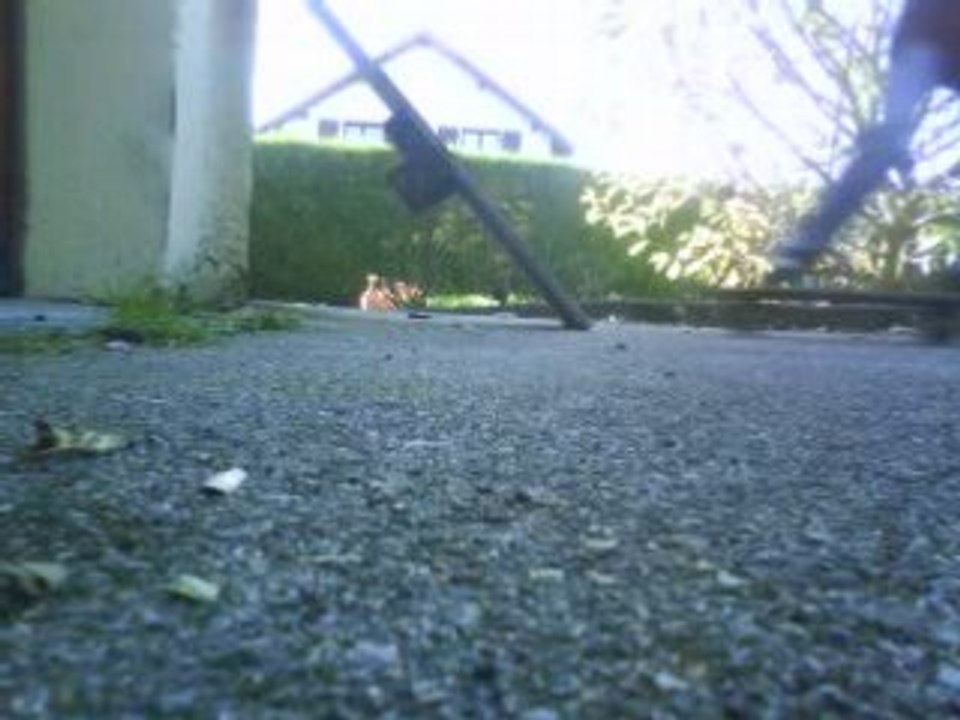 skate