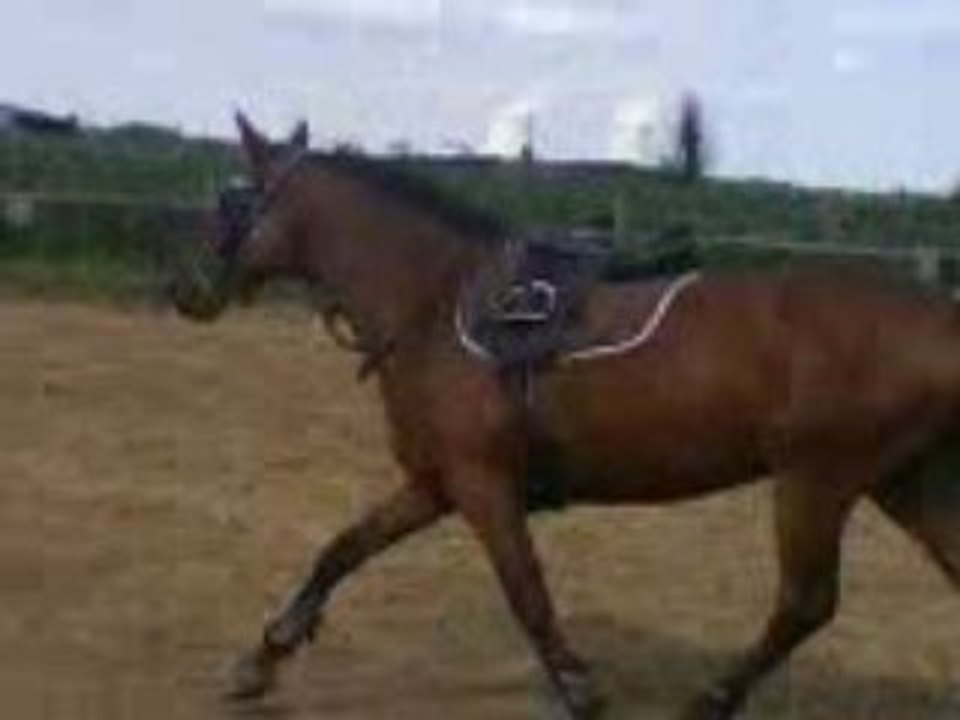 Magica longe aout 2008