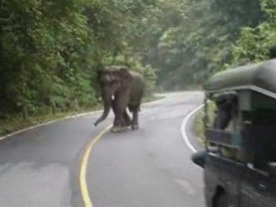 BBB: De Jurassic Park T-Rex scene