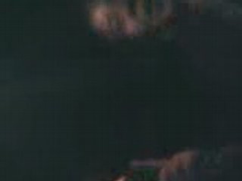 VID015