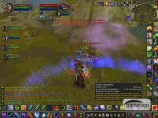 wow shaman pvp