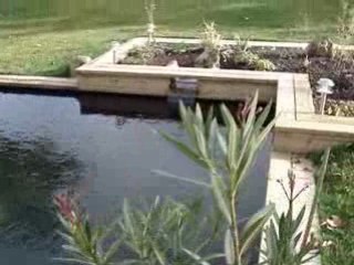 Piscine naturelle de www.patricklemairepaysage.com....