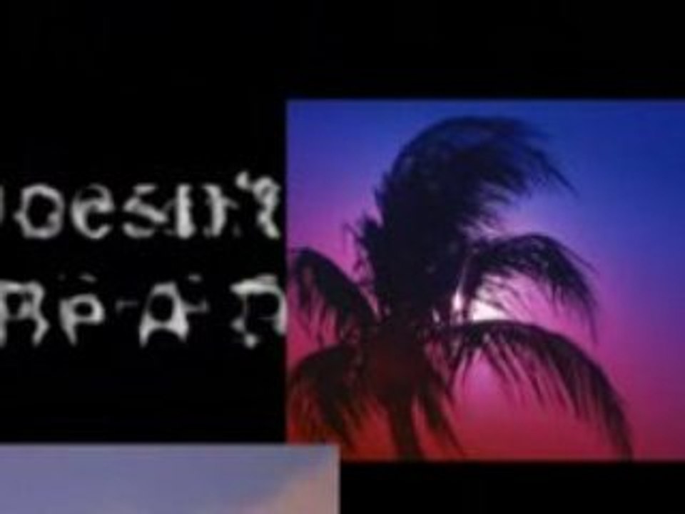 Easy Home Based Business Florida Tampa, Naples, Sarasota