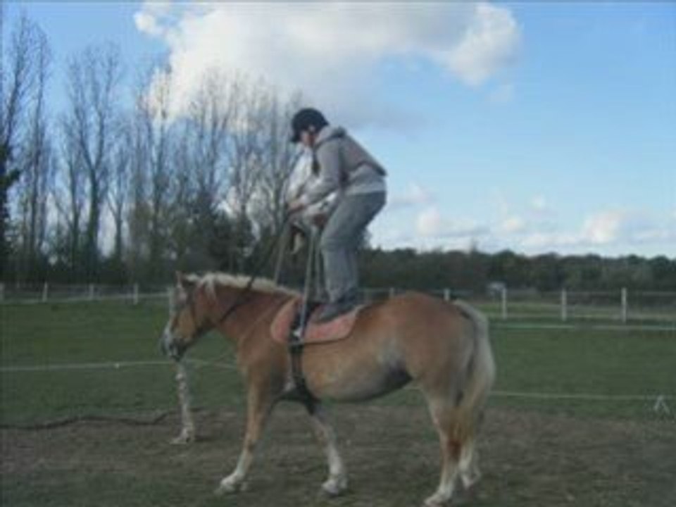 mercredi 22 octobre 2008