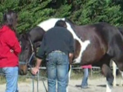 Jean-françois pignon 1