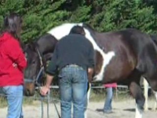 Jean-françois pignon 1