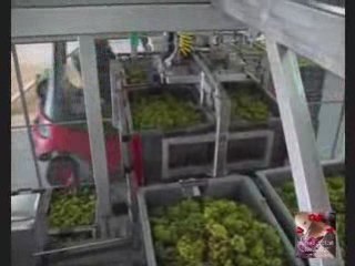 Pressurage Champenois - Chargement automatique du pressoir