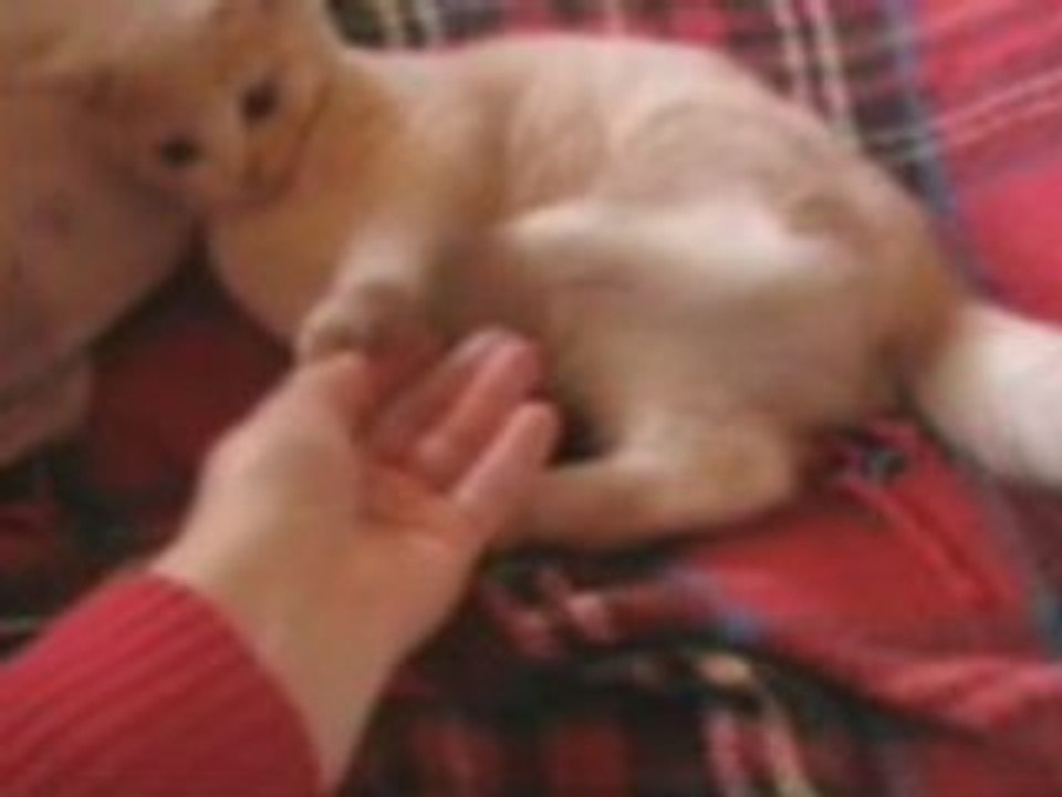 Deuxième jour avec Dell!