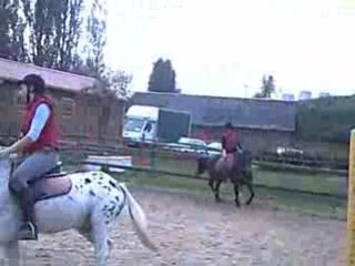 Le cours de cette année- détente