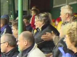 dutch championship  german sheperds