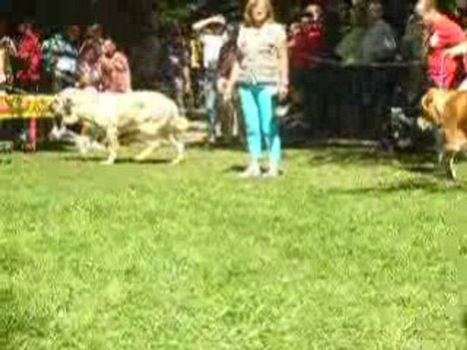 2008 sept Brrios de Luna young ot intermediate male  4