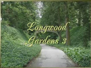Longwood Gardens 3