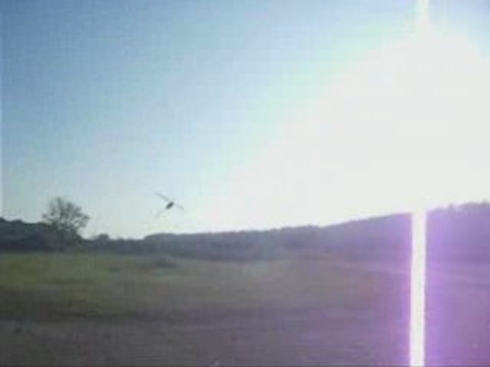 Jams69 et son t-Rex600 nitro