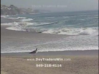 Stock Trading Room, Trading Room Stocks, Day Trading Toom